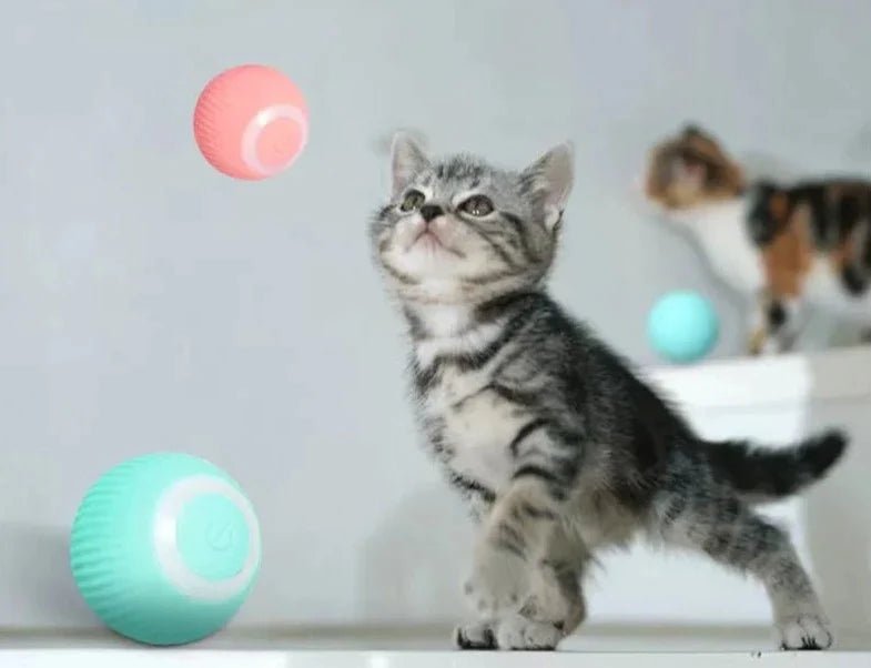 AutoBall™ - Jouet électrique interactifs pour chats - Chaton Meow Meow