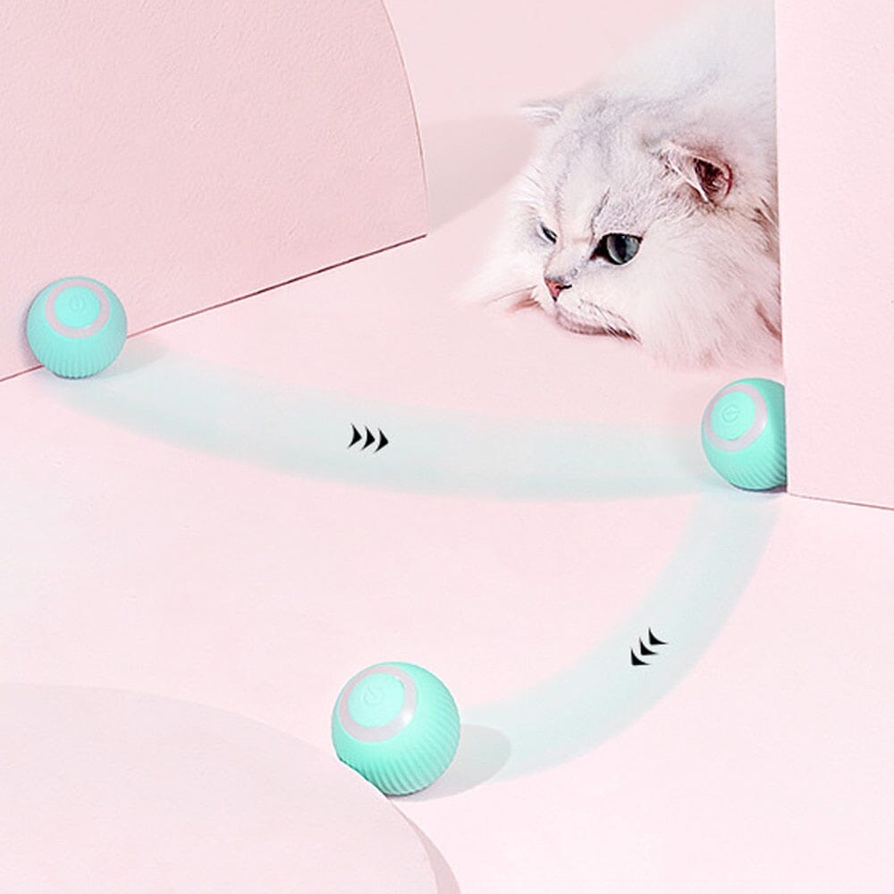 AutoBall™ - Jouet électrique interactifs pour chats - Chaton Meow Meow