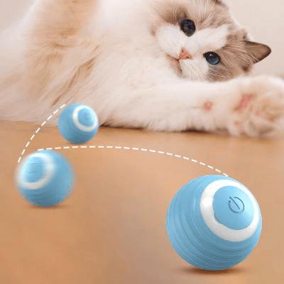 Jouet Chat Interactif - Chaton Meow Meow