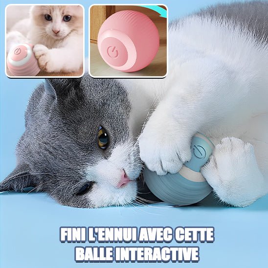 Jouet Chat Interactif - Chaton Meow Meow