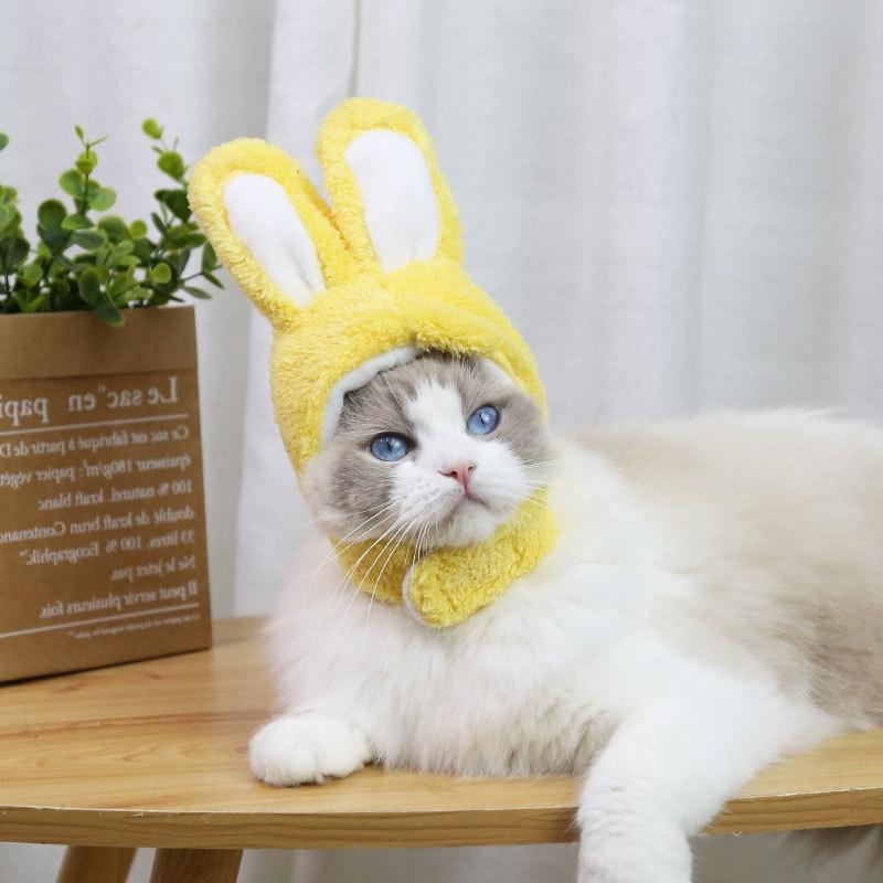 RabbitHat™ - Accessoire de déguisement pour chat - Chaton Meow Meow